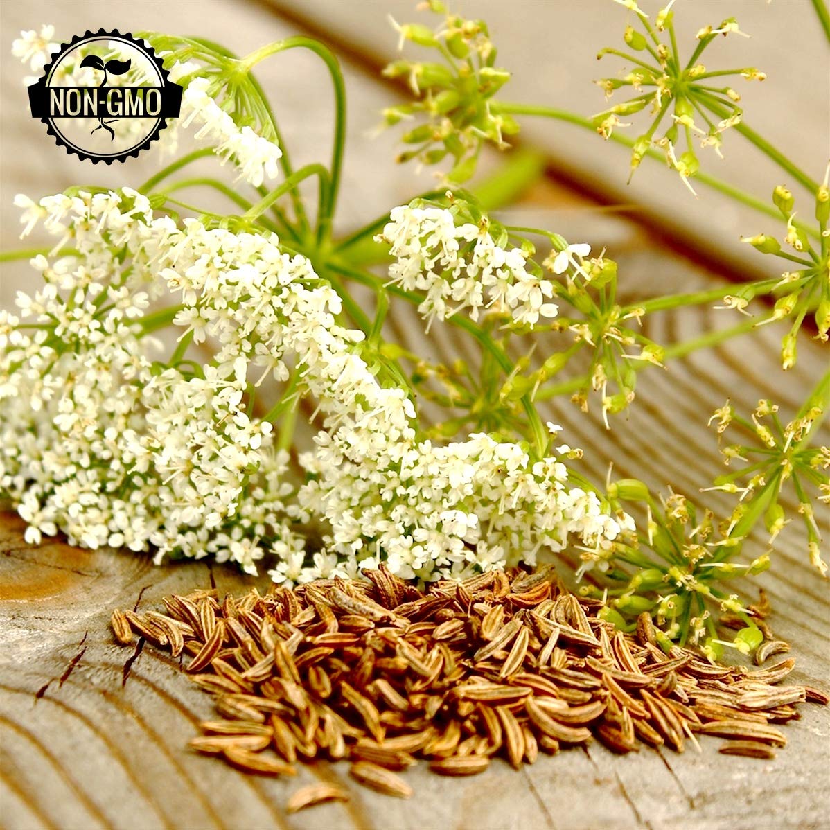 Caraway Seeds