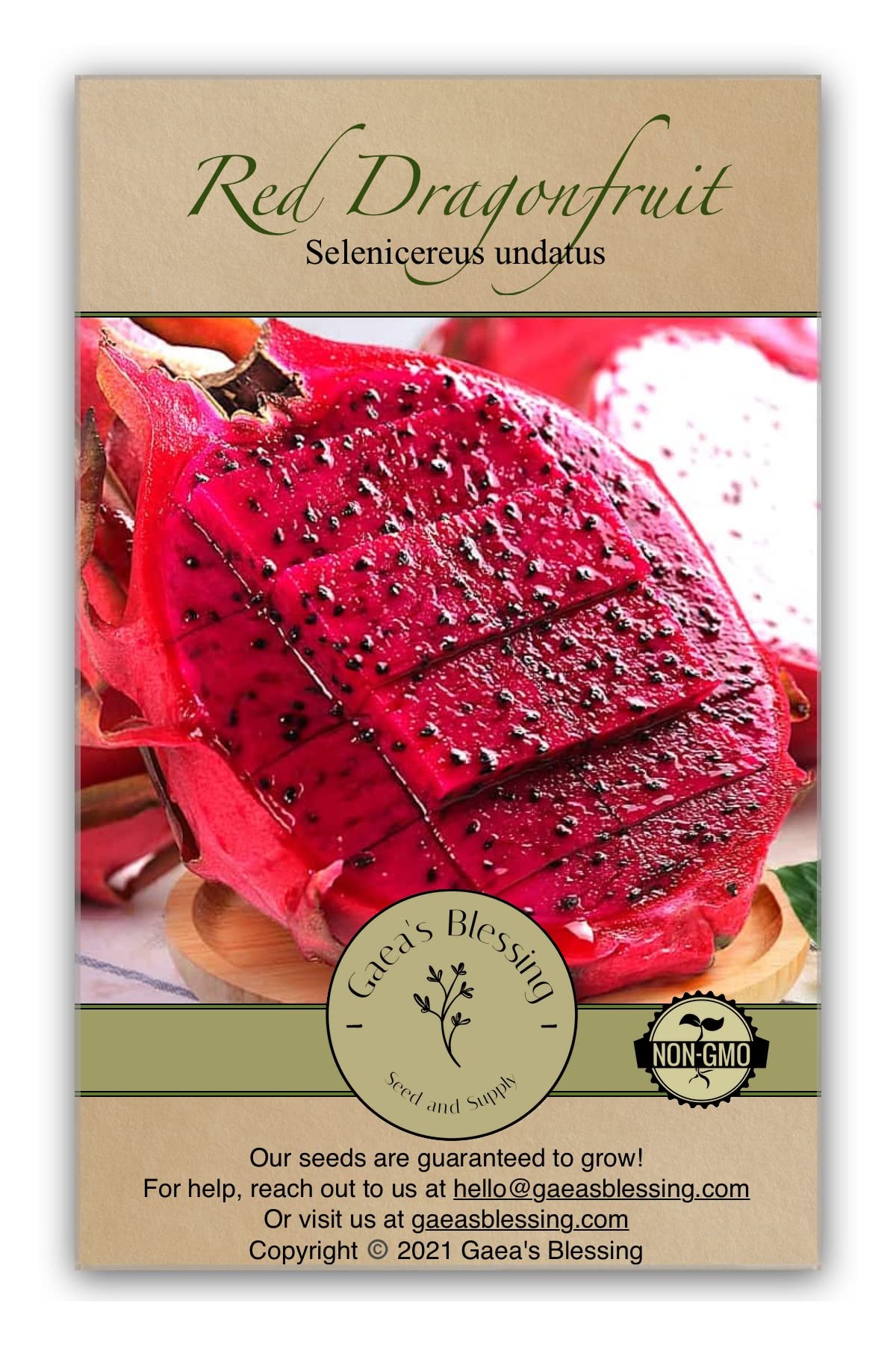 dragon fruit plant seeds Dragonfruit Seeds - Pitaya