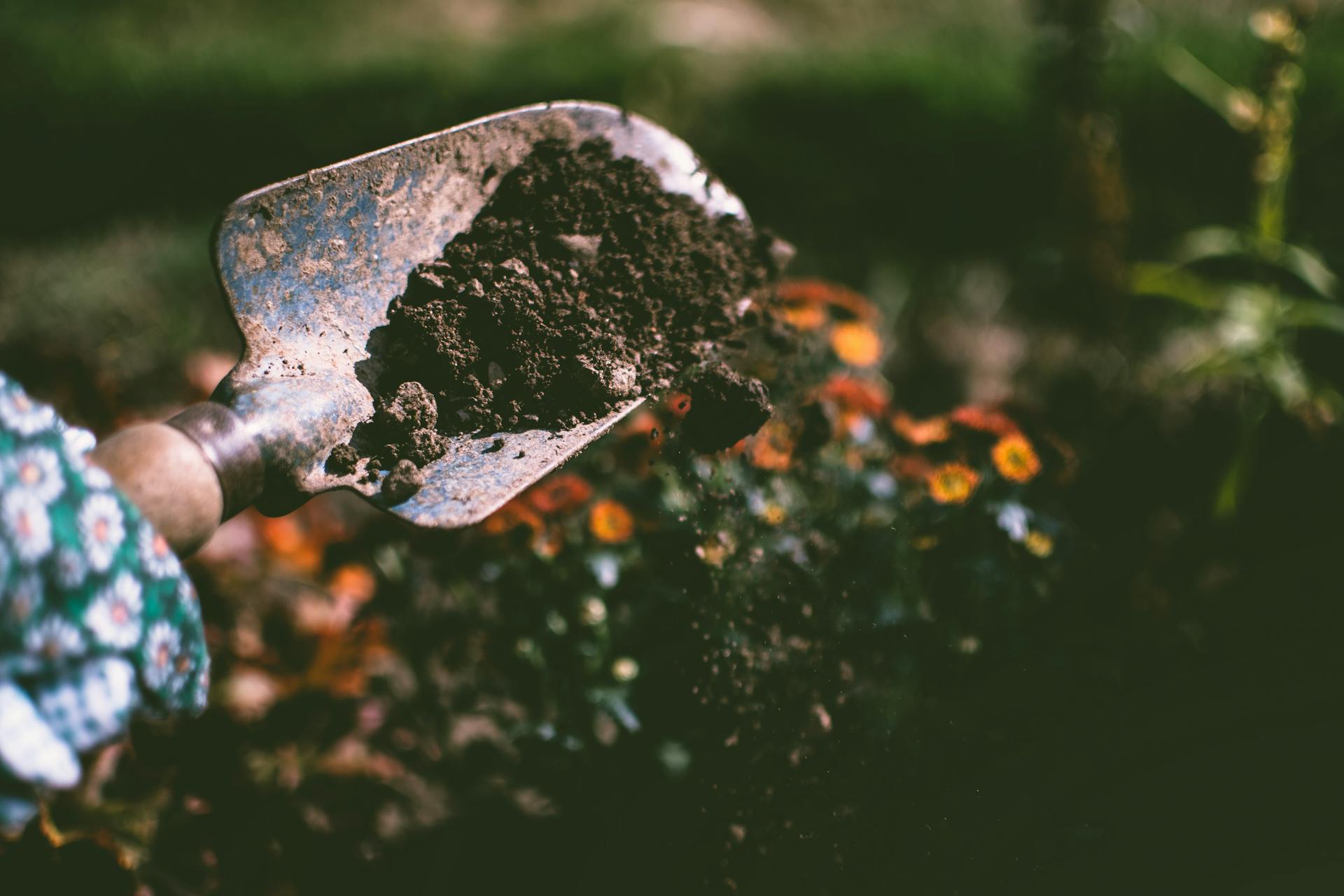 Nurturing New Life: A Comprehensive Approach to Fertilizing Your Seedlings
