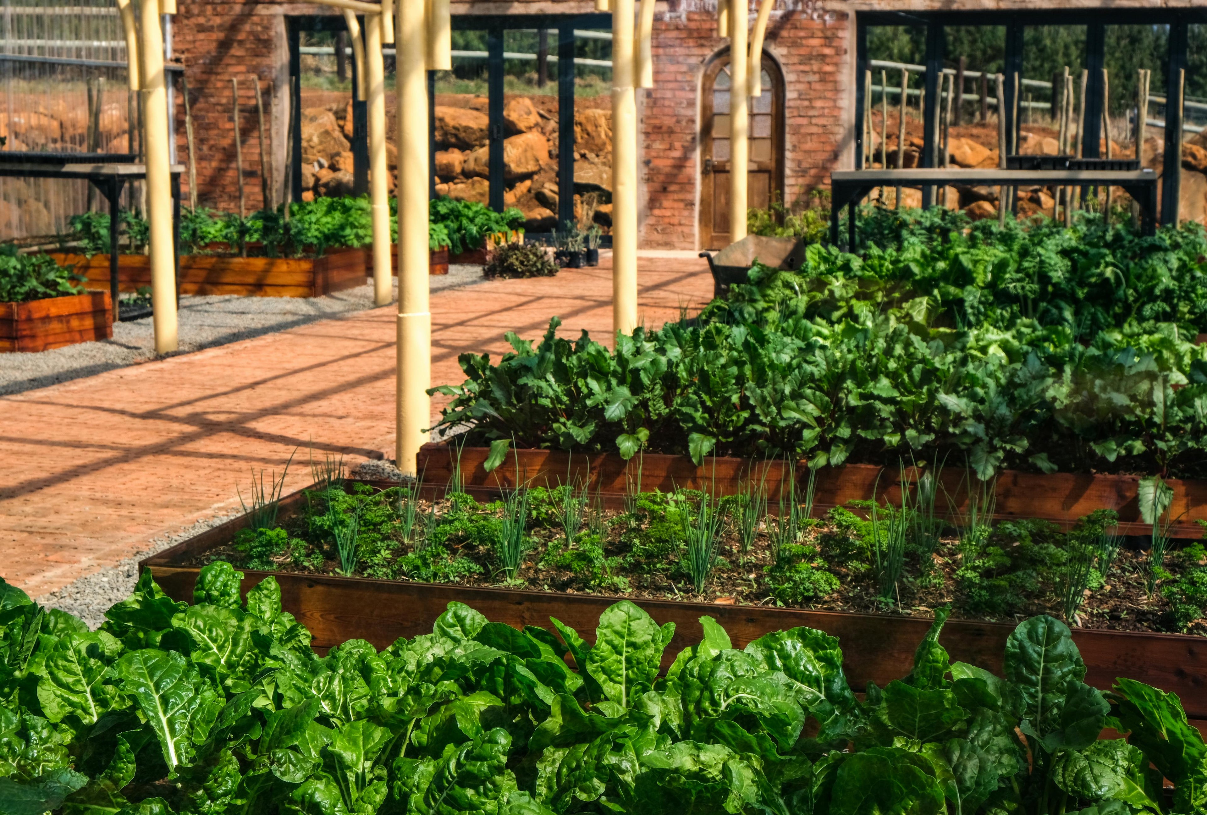 A Primer to USDA Hardiness Zones: Never Lose Another Plant to Winter Again