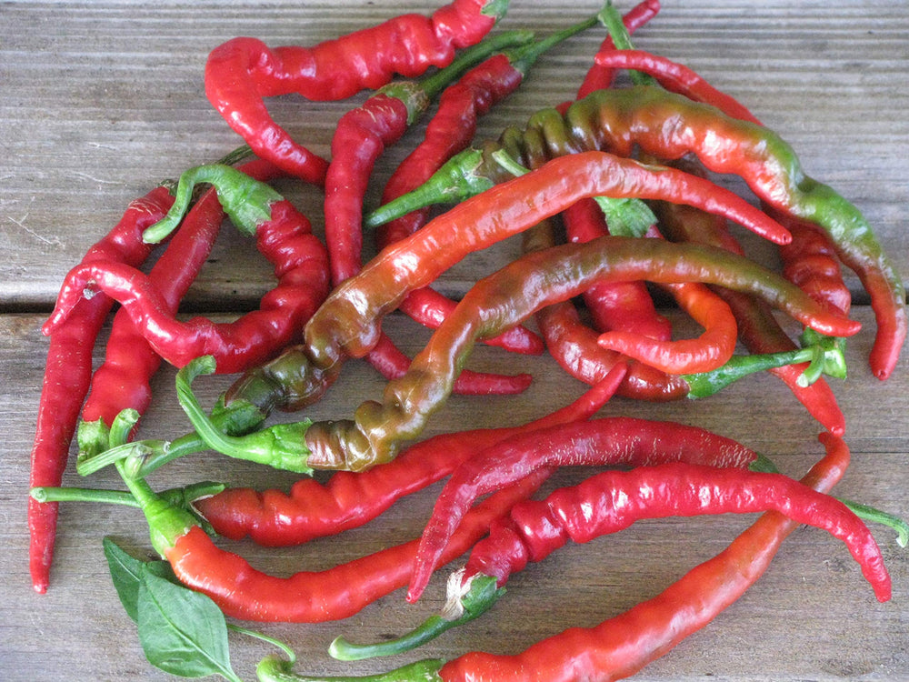 Peppers