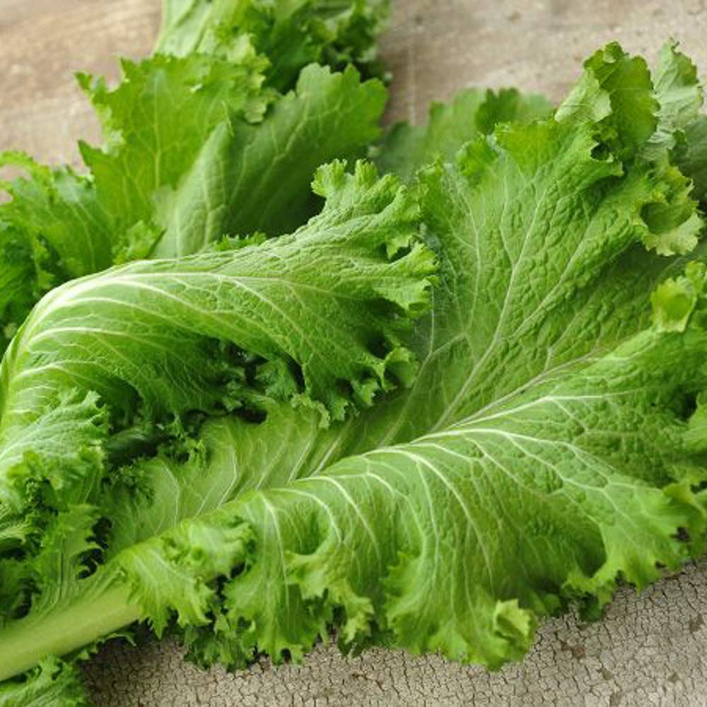 Mustard Greens