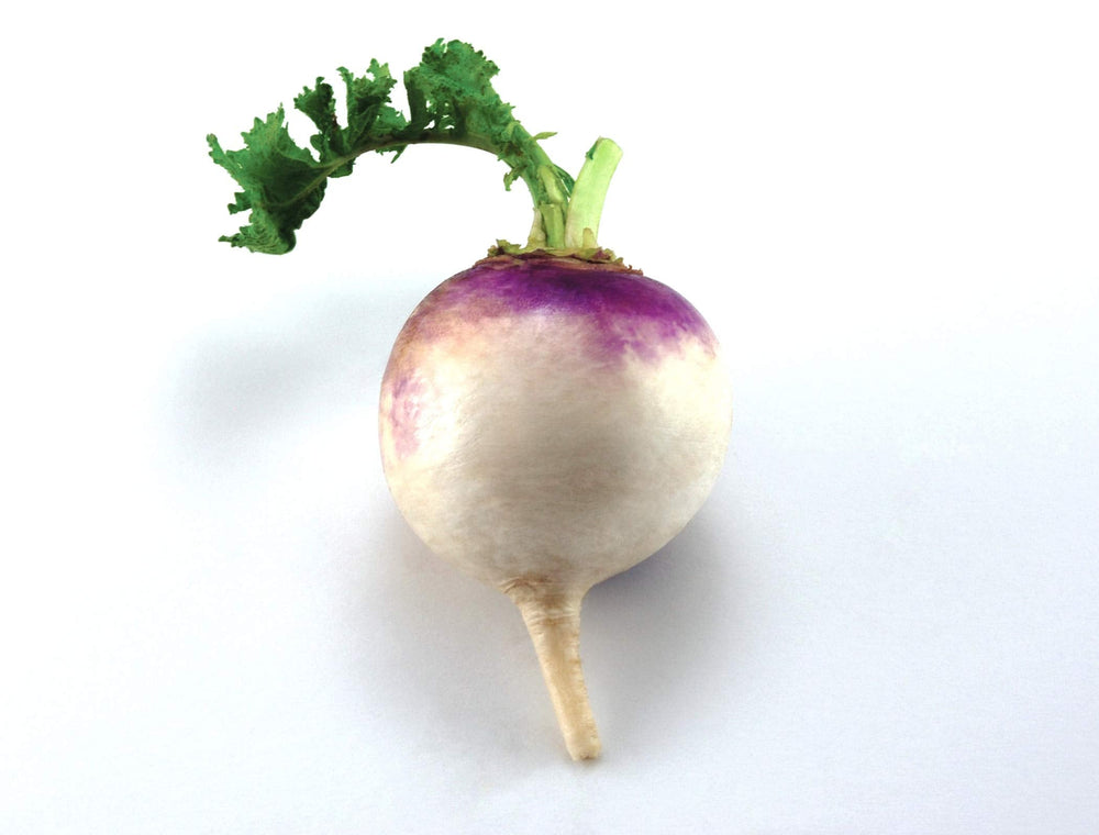 Turnip
