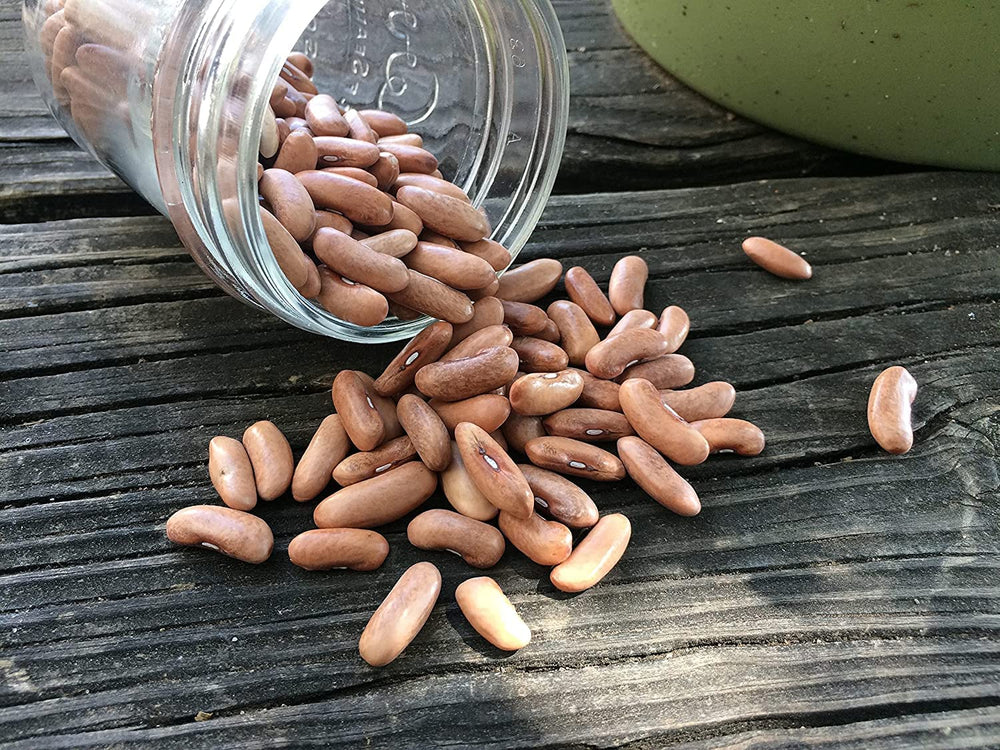 Beans