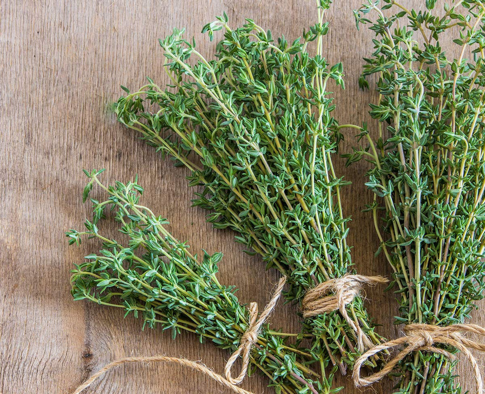 Thyme