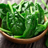 Spinach Seeds - Avon F1 Hybrid - Spinacia oleracea