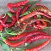 Cayenne Pepper Seeds - Capsicum annuum