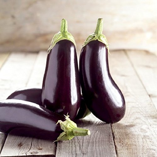 Eggplant Seeds - Black Beauty - Solanum melongena