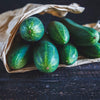 Cucumber Seeds - Spacemaster 80 - Cucumis sativus