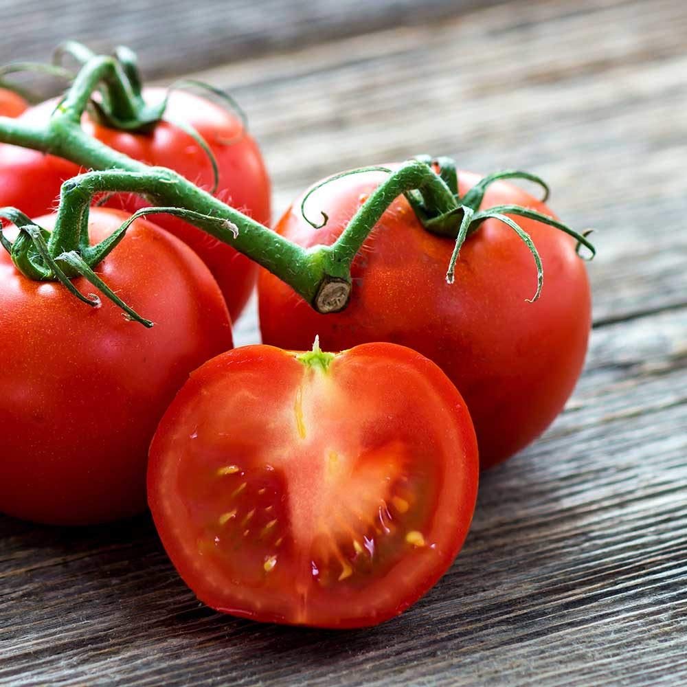 Cherry Tomato Seeds - Gardener’s Delight - Sugar Lump - Lycopersicon esculentum
