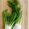 Fennel Seeds - Foeniculum vulgare