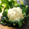 Cauliflower Seeds - Snowball Y Improved - Brassica oleracea