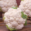 Cauliflower Seeds - Snowball Y Improved - Brassica oleracea