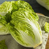 Chinese Cabbage Seeds - Michihili - Brassica rapa