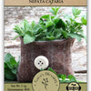Gaea's Blessing Seeds - Catnip Seeds - Non-GMO Heirloom Seeds Nepata Cataria Open-Pollinated - with Easy to Follow Instructions - 90% Germination Rate Net Wt. 1.1g