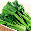 Gailan Seeds - Chinese Broccoli -  Brassica oleracea