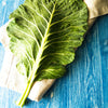 Gaea's Blessing Seeds - Collard Greens Seeds (3.0g) Champion Non-GMO Seeds with Easy to Follow Planting Instructions - 93% Germination Rate
