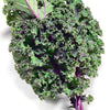Gaea's Blessing Seeds - Kale Seeds - Non-GMO Seeds with Easy to Follow Planting Instructions - Open Pollinated, Untreated Heirloom