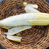 Luffa Gourd Seeds - Luffa aegyptiaca