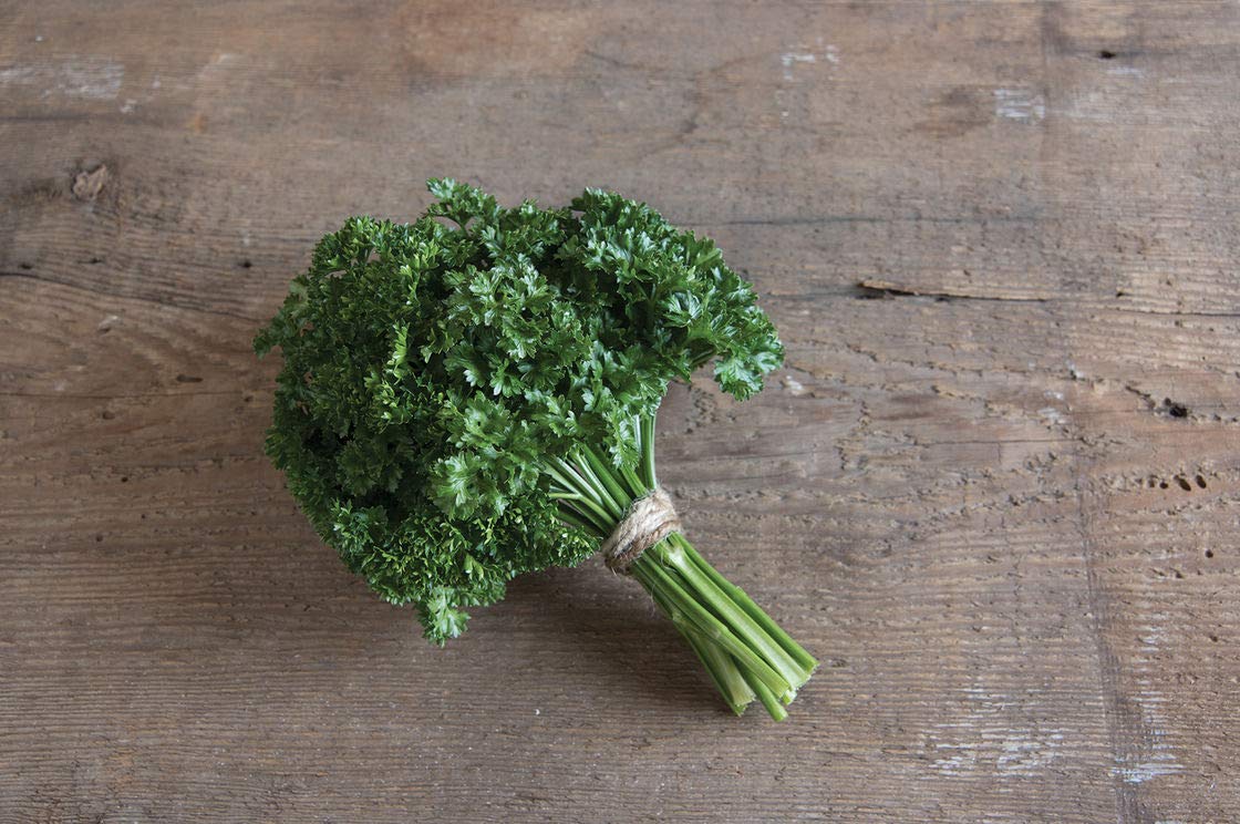 Parsley Seeds - Double Curled Parsley - Petroselinum crispum