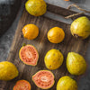 Guava Seeds - Psidium guajava