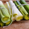 Leek Seeds - American Flag - Allium ampeloprasum