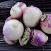 Turnip Seeds - Purple Top - Brassica rapa