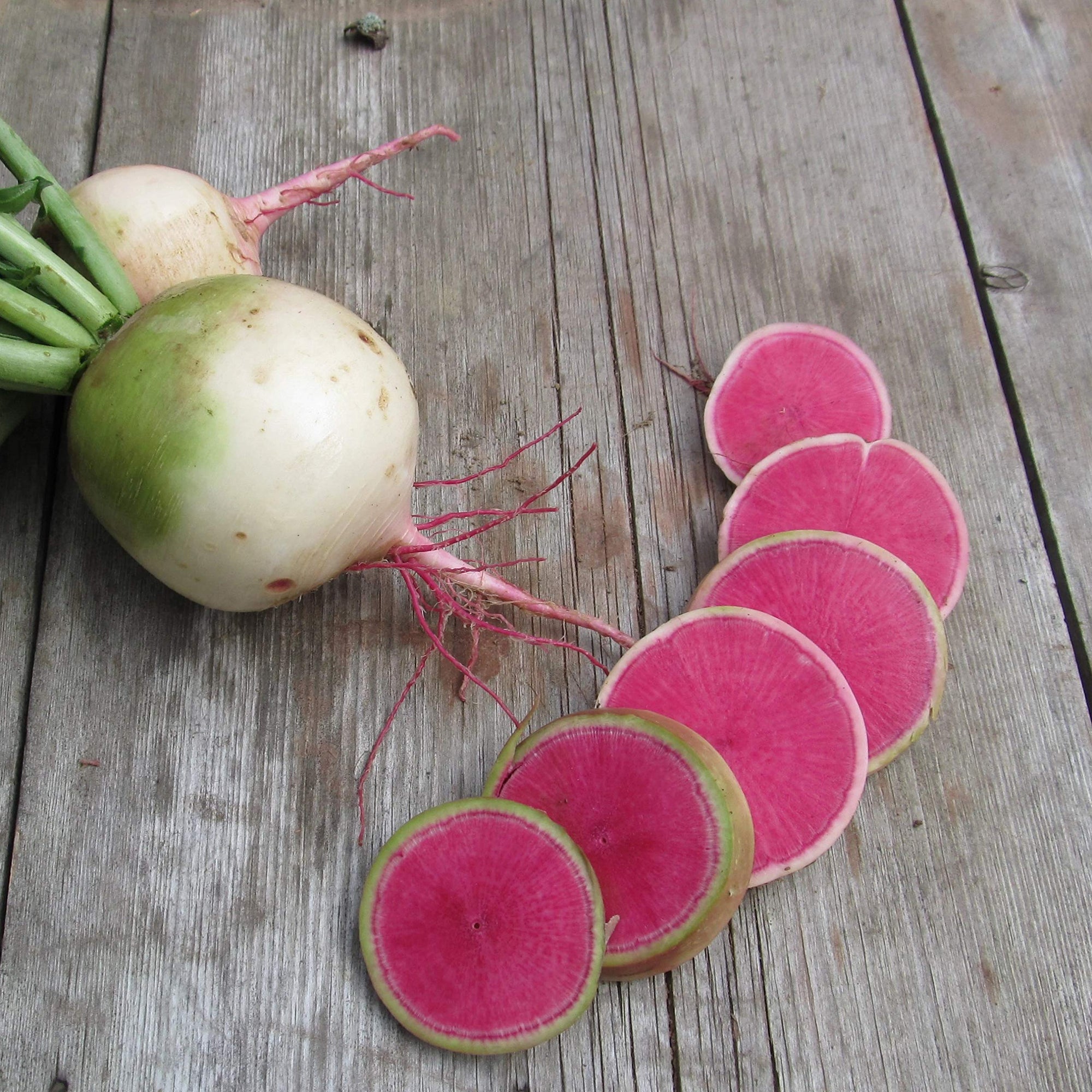 Radish Seeds - Watermelon Radish - Raphanus sativus