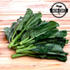 Gailan Seeds - Chinese Broccoli -  Brassica oleracea