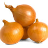 Gaea's Blessing Seeds - Onion Seeds - Non-GMO Heirloom Seeds with Easy to Follow Instructions