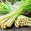 Lemongrass Seeds - Cymbopogon flexuosus