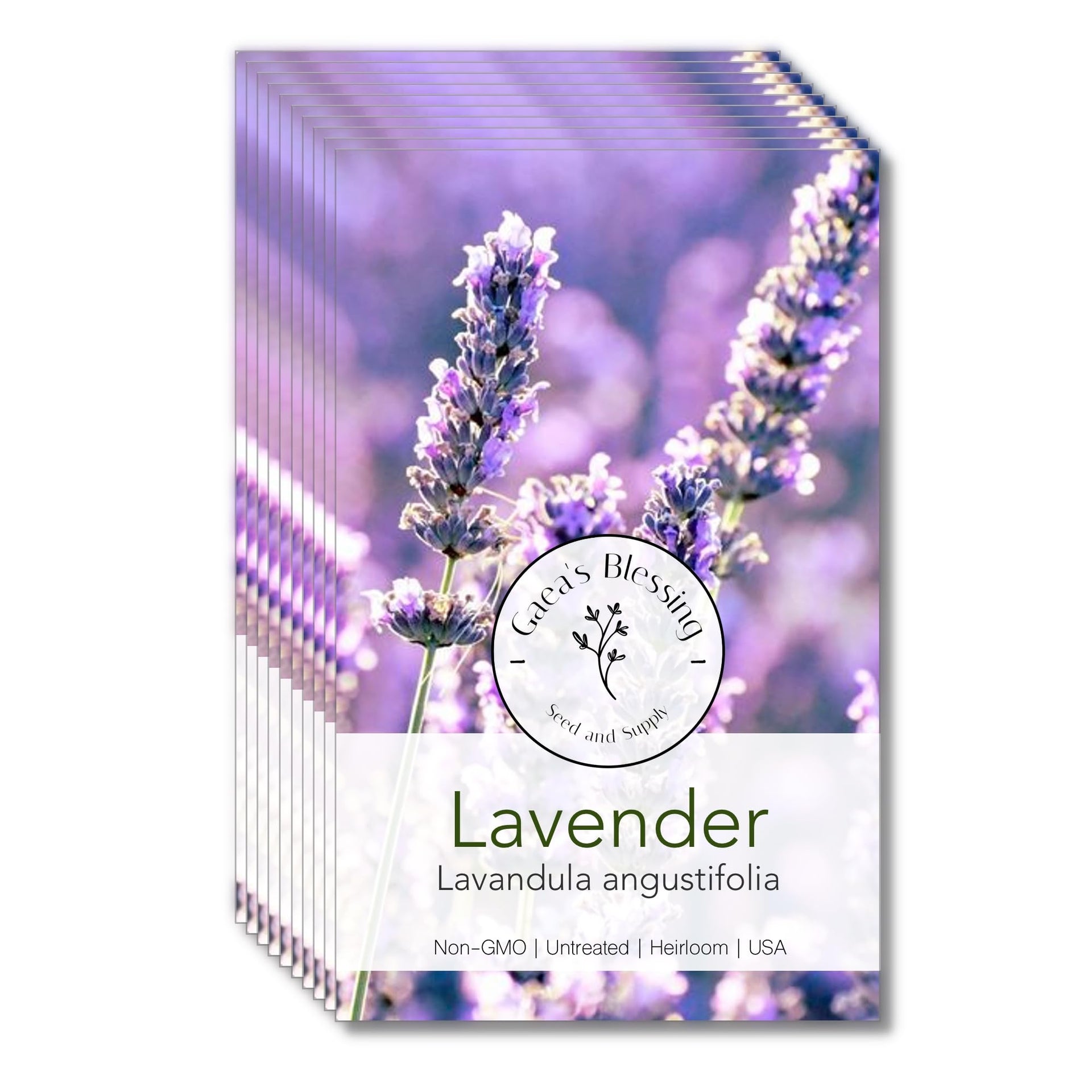 English Lavender Seeds - Lavandula angustifolia  Gaea's Blessing Seeds