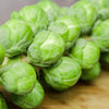 Brussels Sprout Seeds - Long Island Improved - Brassica olearacea