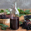 Elderberry Seeds - American Black Elderberry - Sambucus canadensis