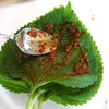 Korean Shiso Seeds - Perilla frutescens var crispa