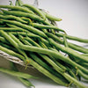 Bush Bean Seeds - Contender - Phaseolus vulgaris