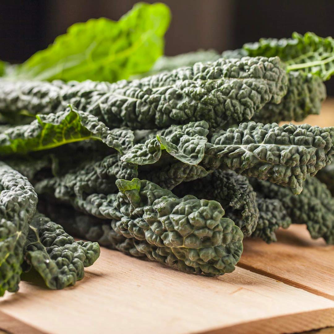 Lacinato Kale Seeds - Dinosaur Kale - Brassica olearacea
