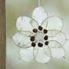 Honesty Seeds, Moonwort, Money Plant, Silver Dollar Plant, Lunaria annua/biennis