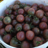 Cherry Tomato Seeds - Black Cherry - Lycopersicon esculentum