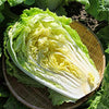 Chinese Cabbage Seeds - Michihili - Brassica rapa