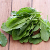 Sorrel Herb Seeds - French - Rumex acetosa