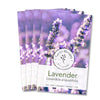 English Lavender Seeds - Lavandula angustifolia