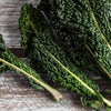 Lacinato Kale Seeds - Dinosaur Kale - Brassica olearacea