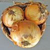 Gaea's Blessing Seeds - Onion Seeds - Non-GMO Heirloom Seeds with Easy to Follow Instructions