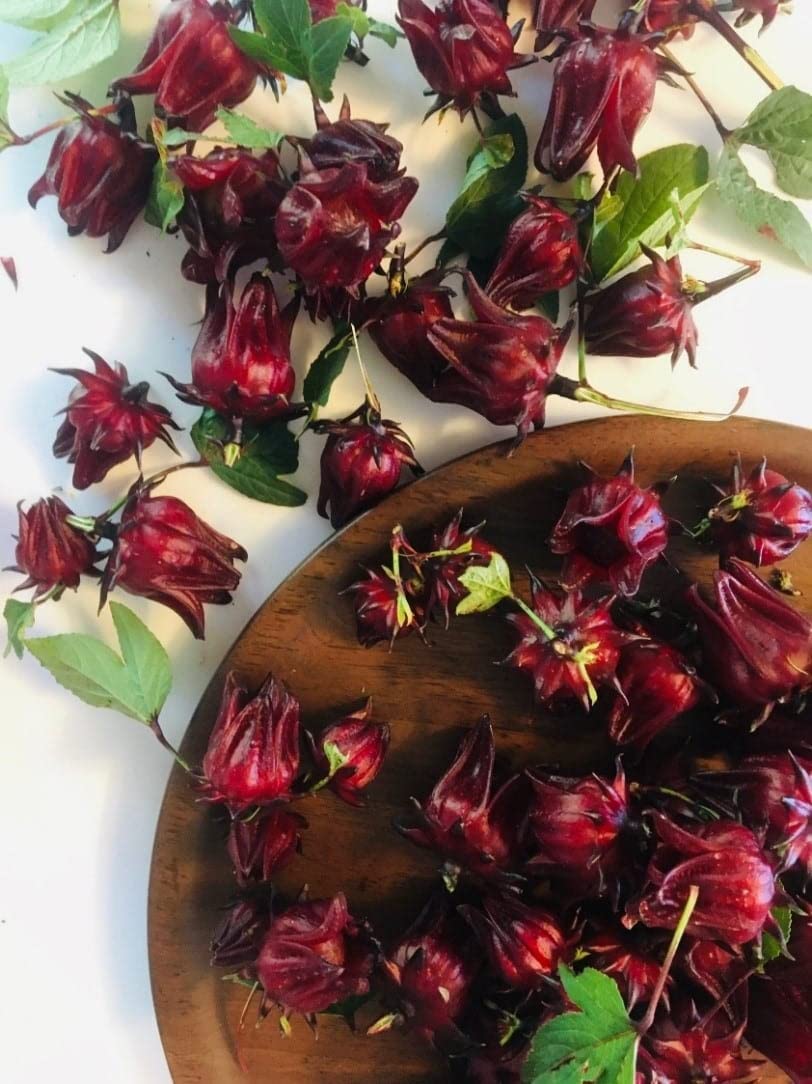 roselle flower seeds Roselle Seeds - Jamaican Sorrel