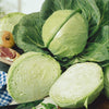Cabbage Seeds - Copenhagen Market Early Cabbage - Brassica olearacea