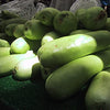 Bottle Gourd Seeds - Opo Squash - Lagenaria siceraria