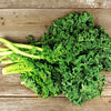 Kale Seeds - Siberian Dwarf - Brassica oleracea