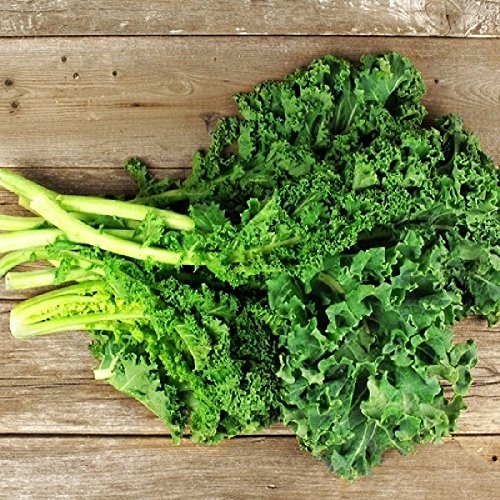 Kale Seeds - Siberian Dwarf - Brassica oleracea