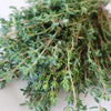 Thyme Seeds - Thymus Vulgaris